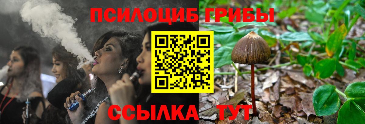 Псилоцибиновые грибы мицелий  Вход с VPN  купить  цена  Ижевск  Псилоцибиновые грибы Psilocybine cubensis 